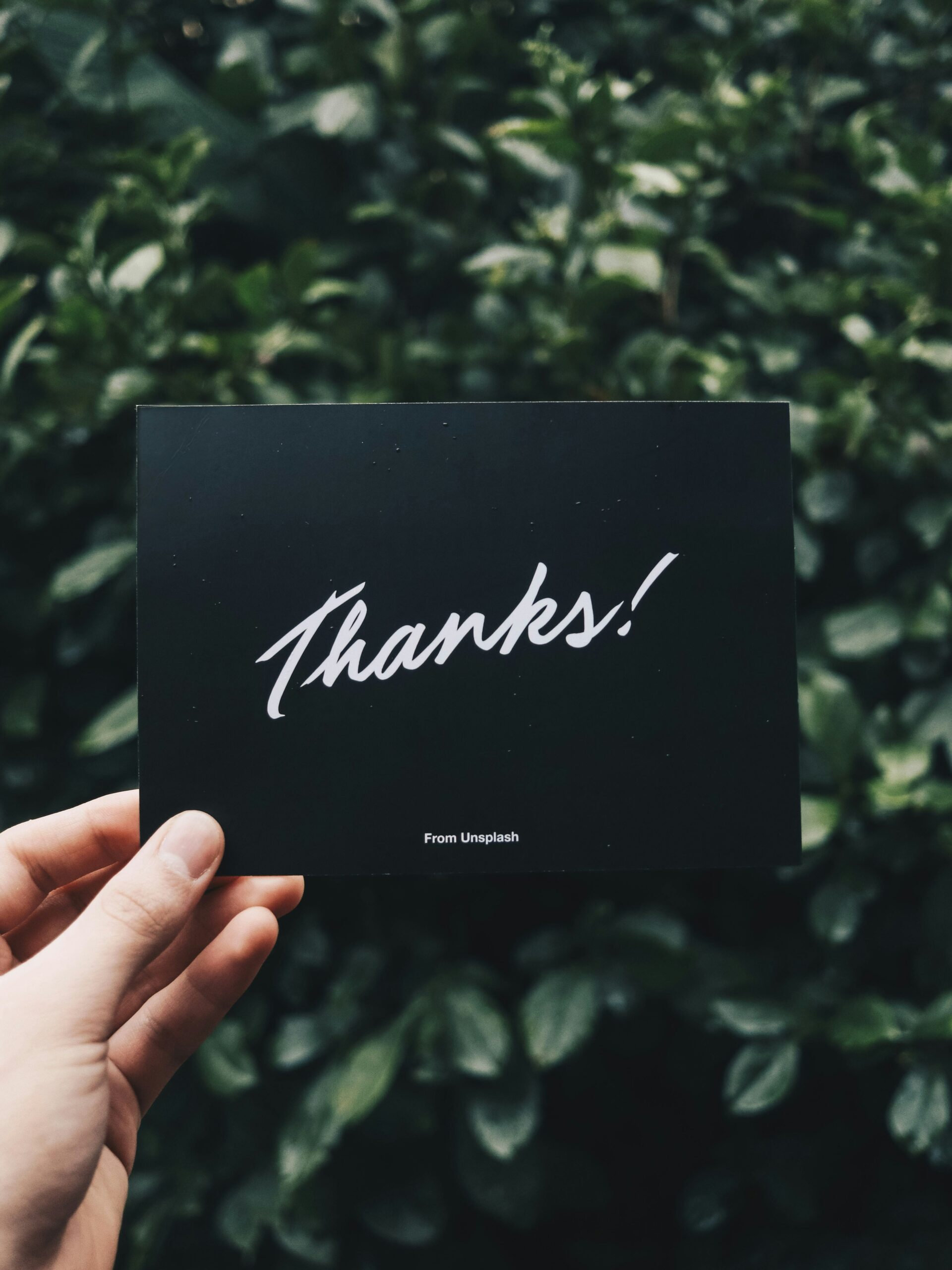 Read more about the article Hello world!